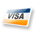 Visa Logo